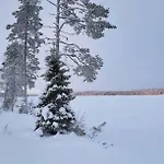 Eraemaajaerven Rannalla Taivalkoskella Jokijärvi