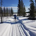 Eraemaajaerven Rannalla Taivalkoskella *