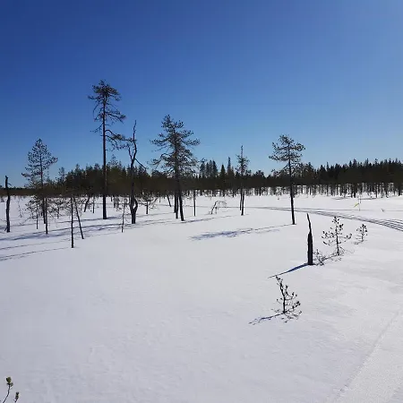 Eraemaajaerven Rannalla Taivalkoskella Villa Jokijärvi