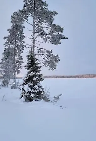 Huvila Eraemaajaerven Rannalla Taivalkoskella Jokijärvi