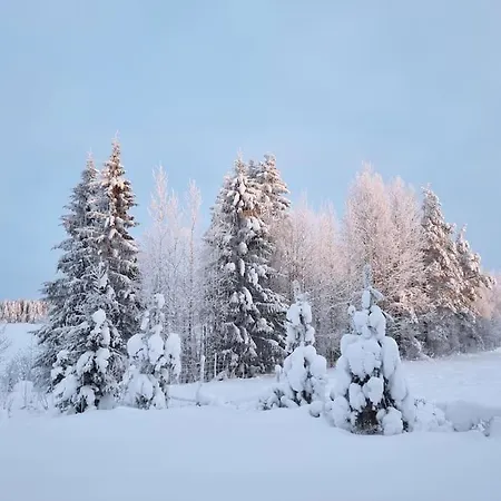 Villa Eraemaajaerven Rannalla Taivalkoskella *