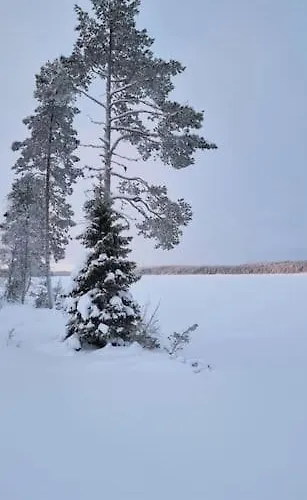 Eraemaajaerven Rannalla Taivalkoskella Йокиярви